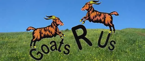 Goats R Us